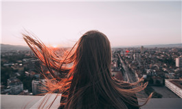 梦见种菜是什么预兆呢