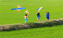 测试你第一个孩子能够接受你二胎吗