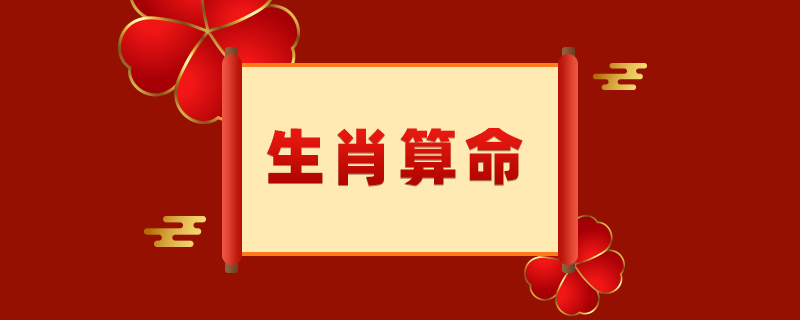 77年属蛇女在2023年的全年运势怎么样呢