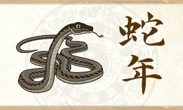生肖