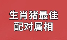 属猪和什么属相最配?最佳搭档是这些