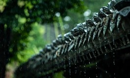 梦见下雨是什么征兆?解读梦中的吉凶暗示
