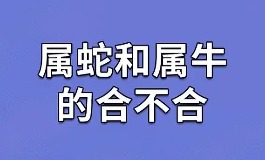 属蛇和属牛配不配?性格互补还是冲突