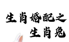 兔和什么属相最配？揭秘最佳缘分生肖