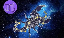 天蝎座是几月到几月几号?了解天蝎座的出生时段