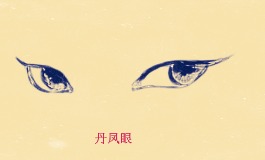 丹凤眼的男人有多吸引？从面相到性格全解析