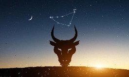 金牛座是几月几号?2025金牛座的正缘桃花