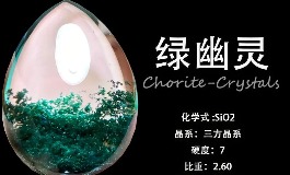 绿幽灵的神奇功效与作用揭秘