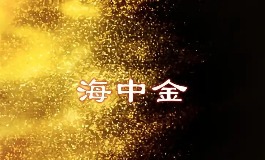 海中金命的女生，性格和财运全解析