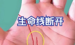 生命线断开意味着怎样的命运走向