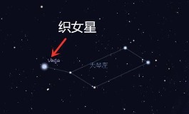 织女星属于哪个星座？揭秘夜空中最亮的爱情星