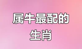 属牛男最佳婚配属相，遇到就是幸福的开始