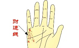 财运线，手相中隐藏的财富秘密