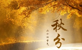 秋分节气的含义是什么？昼夜平分与民俗解读