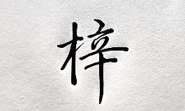 梓字取名的寓意，看懂孩子名字背后的秘密
