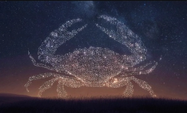 巨蟹女性格有什么吸引人的特征