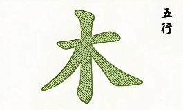 属木的字有哪些？给孩子取名的实用参考