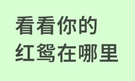 红鸾到底是什么？在八字里竟藏着脱单与结婚的关键信号