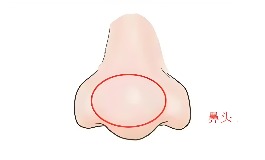 鼻头大面相好不好？揭秘鼻型对财富和福气的影响