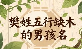 樊姓五行缺木的男孩名字推荐，选一个有意义的名字