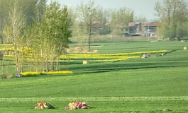 为了子孙后代富贵平安，看坟地记住一句口诀