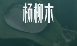 杨柳木命女孩在戊申年这样做，贵人主动找上门