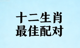 十二生肖最佳配对，看看你和谁最合得来