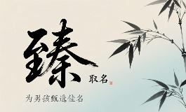 臻字男孩取名，为孩子带来幸福与成功