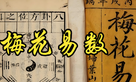 梅花易数起卦怎么做？数字、声音、物品都能用