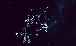 11月28日是什么星座？原来性格这么招人喜欢