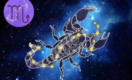 11月4日是什么星座？性格运势超全解析