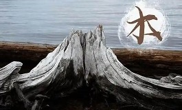 2010年是什么年，松柏木命男女运势各有不同